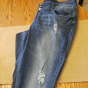 PLus Size Distressed Skinny Jeans